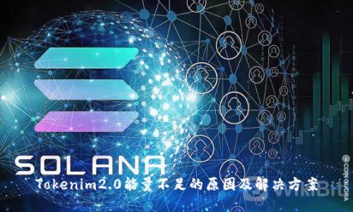 Tokenim2.0能量不足的原因及解决方案