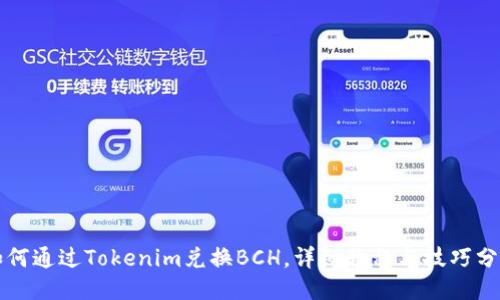 如何通过Tokenim兑换BCH，详细教程与技巧分享