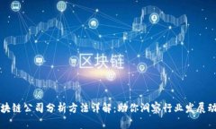 区块链公司分析方法详解：助你洞察行业发展动
