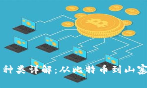 区块链货币的种类详解：从比特币到山寨币的全景探索