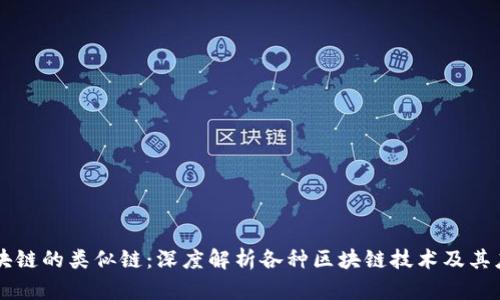 区块链的类似链：深度解析各种区块链技术及其应用