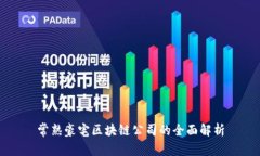 常熟豪宅区块链公司的全面解析