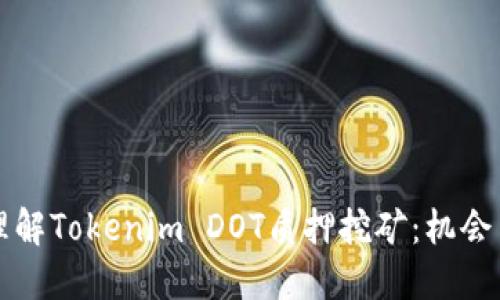 深入理解Tokenim DOT质押挖矿：机会与挑战