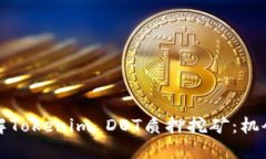 深入理解Tokenim DOT质押挖矿：机会与挑战