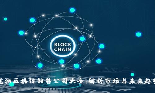 芜湖区块链销售公司大全：解析市场与未来趋势