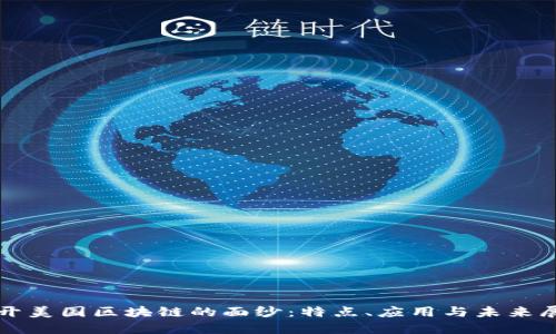 揭开美国区块链的面纱：特点、应用与未来展望