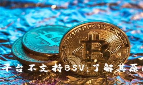 Tokenim平台不支持BSV：了解其原因及影响