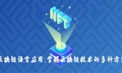 区块链语言应用：掌握区块链技术的多种方法