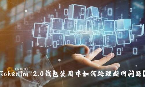 Tokenim 2.0钱包使用中如何处理断网问题？