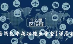 如何在Tokenim波场钱包中成功转出资金？详尽指南