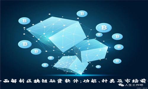 全面解析区块链融资软件：功能、种类及市场前景