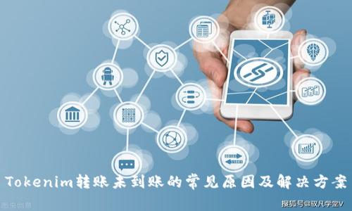 Tokenim转账未到账的常见原因及解决方案