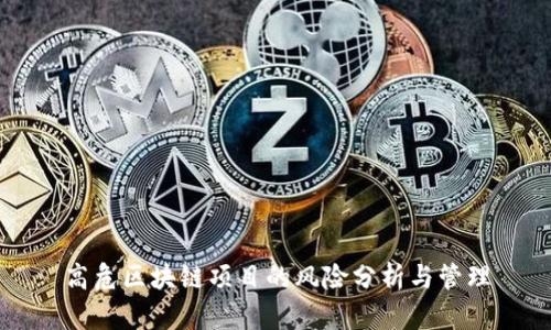 高危区块链项目的风险分析与管理