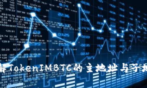 深入了解TokenIMBTC的主地址与子地址解析