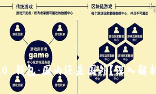 Tokenim 2.0 钱包：国内还是国外？深入解析及使用指南