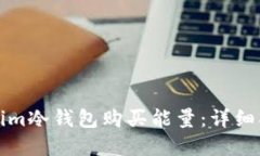 如何通过Tokenim冷钱包购买能量：详细指南与实用