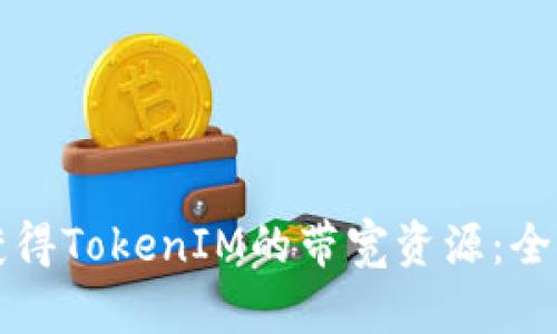 如何获得TokenIM的带宽资源：全面指南