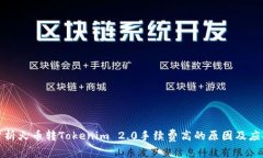 深入分析火币转Tokenim 2.0手续费高的原因及应对策