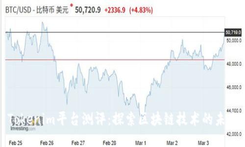 Tokenim平台测评：探索区块链技术的未来