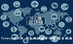 Tokenim 2.0 钱包地址填写详解：完全指南