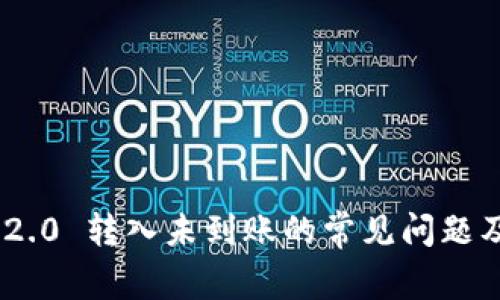 Tokenim 2.0 转入未到账的常见问题及解决办法