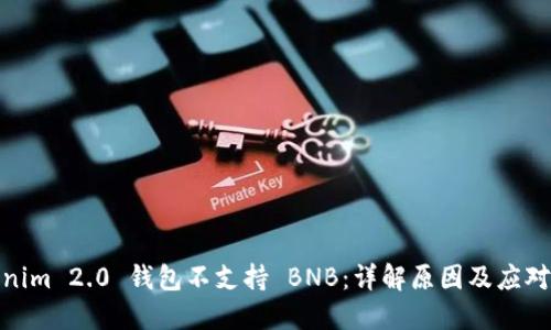 Tokenim 2.0 钱包不支持 BNB：详解原因及应对策略