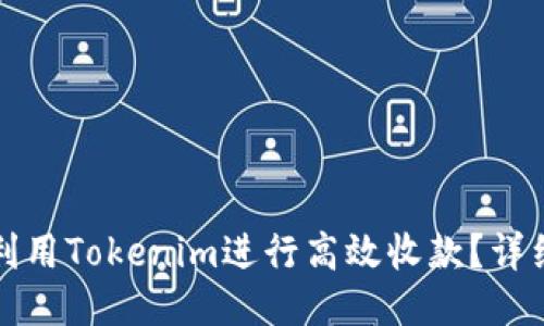 如何利用Tokenim进行高效收款？详细指南