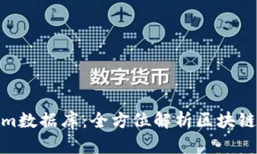 探索Tokenim数据库：全方位解析区块链信息与数据