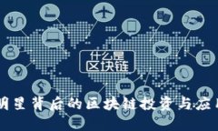 明星背后的区块链投资与应用