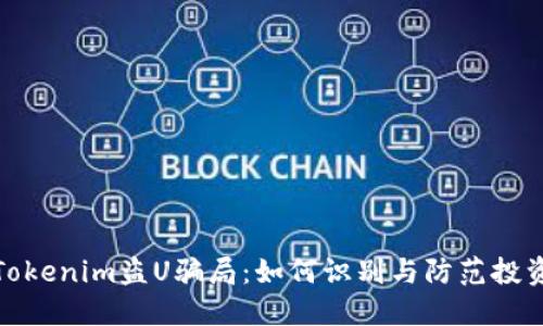 揭露Tokenim盗U骗局：如何识别与防范投资诈骗