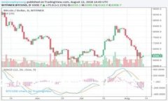 全球领先的区块链公司推荐：引领金融科技革命