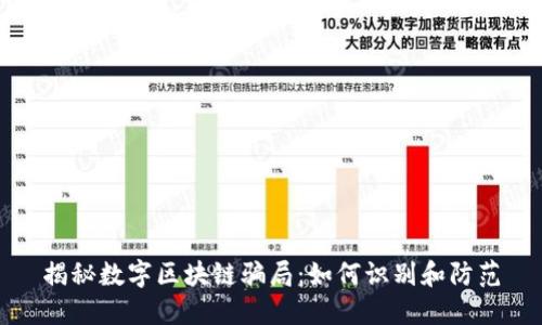 揭秘数字区块链骗局：如何识别和防范