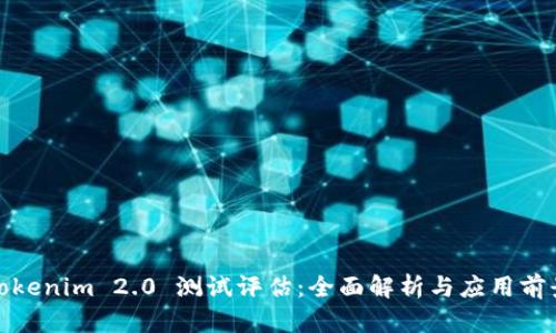 Tokenim 2.0 测试评估：全面解析与应用前景