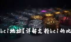 什么钱包支持bc1地址？详解支持bc1的比特币钱包