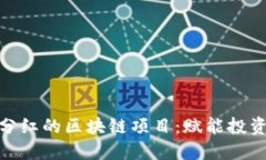 揭秘永久分红的区块链项目：赋能投资的新机遇