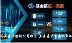 苏州买房区块链公司推荐：未来房产交易的新选