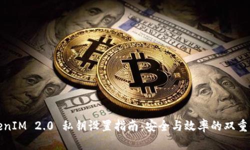 TokenIM 2.0 私钥设置指南：安全与效率的双重保障