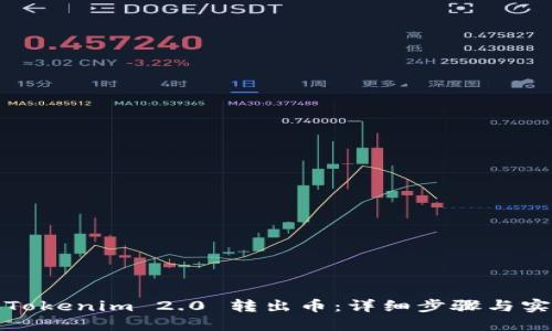如何从Tokenim 2.0 转出币：详细步骤与实用技巧