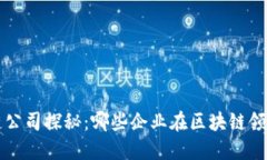 楚雄区块链公司探秘：哪些企业在区块链领域发