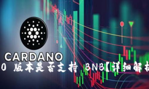 TokenIM 2.0 版本是否支持 BNB？详细解析与使用指南