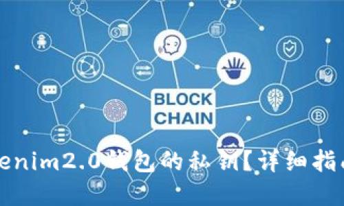如何找回Tokenim2.0钱包的私钥？详细指南及解决方案