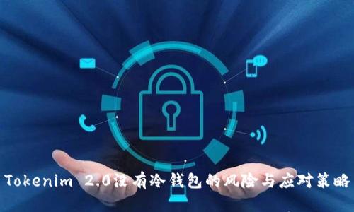 Tokenim 2.0没有冷钱包的风险与应对策略