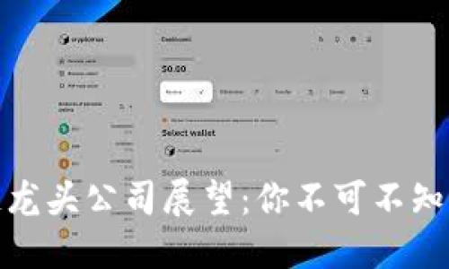 : 未来区块链龙头公司展望：你不可不知的行业领军者