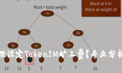 如何合理设定TokenIM旷工费？专业分析与建议