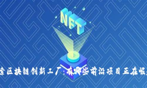 探索区块链创新工厂：有哪些前沿项目正在崛起？