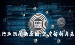 区块链行业倒闭的原因：深度解析与未来趋势