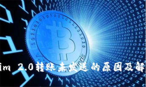 Tokenim 2.0转账未发送的原因及解决方法
