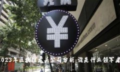 2023年区块链龙头公司分析：谁是行业领军者？