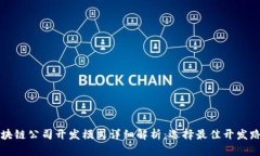 区块链公司开发模式详细解析：选择最佳开发路