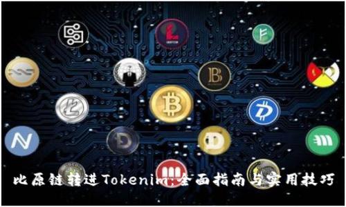 比原链转进Tokenim：全面指南与实用技巧